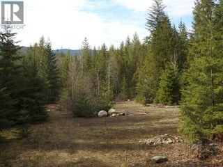 50 East Poirier Road. Mara, British Columbia