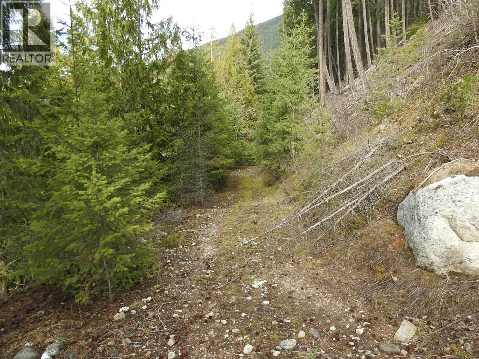 50 East Poirier Road. Mara, British Columbia