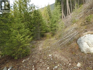 50 East Poirier Road. Mara, British Columbia