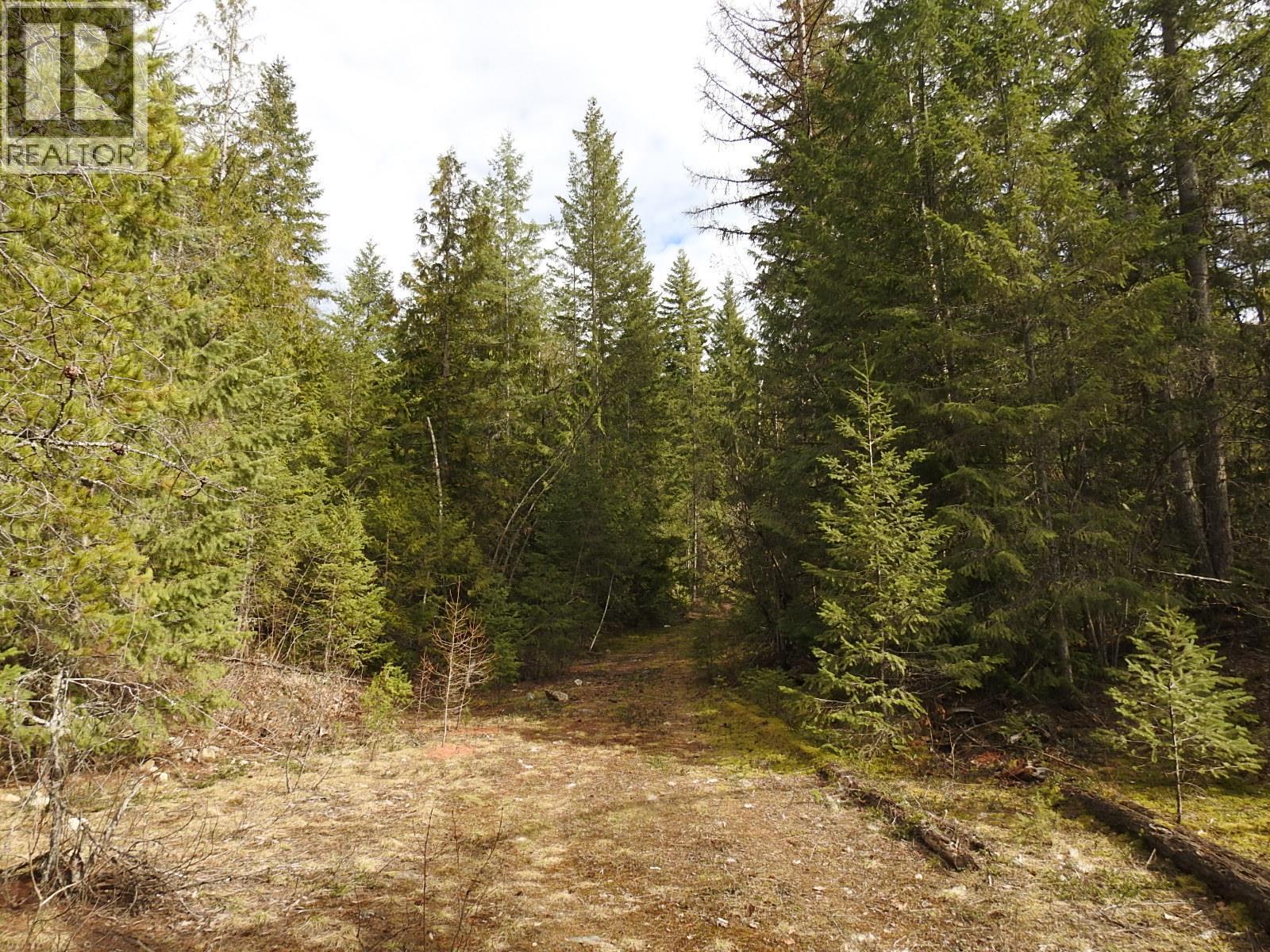 50 East Poirier Road. Mara, British Columbia