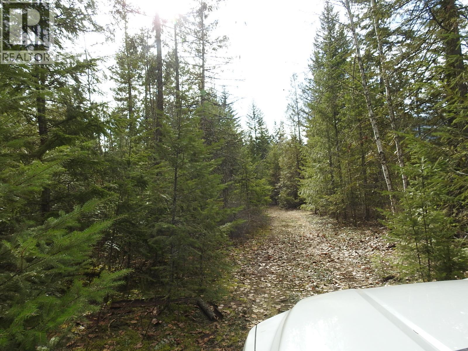 50 East Poirier Road. Mara, British Columbia