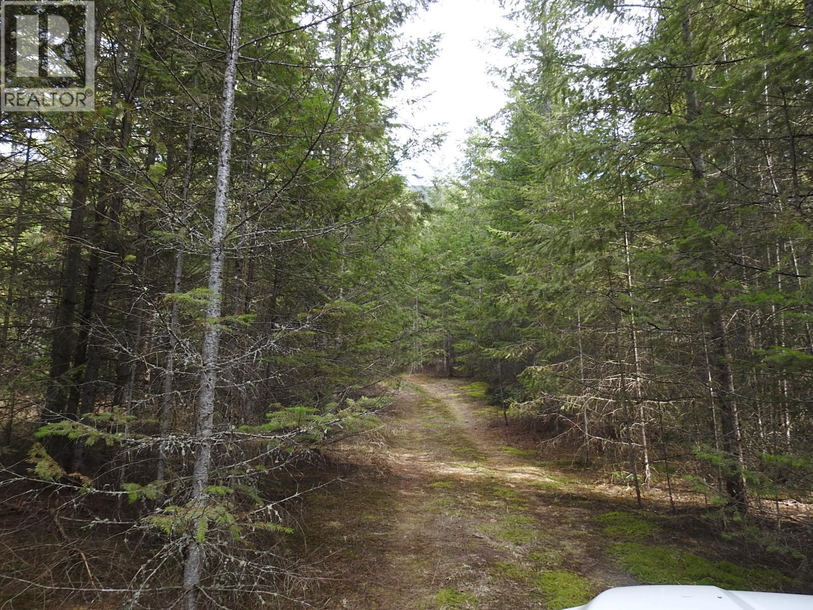 50 East Poirier Road. Mara, British Columbia