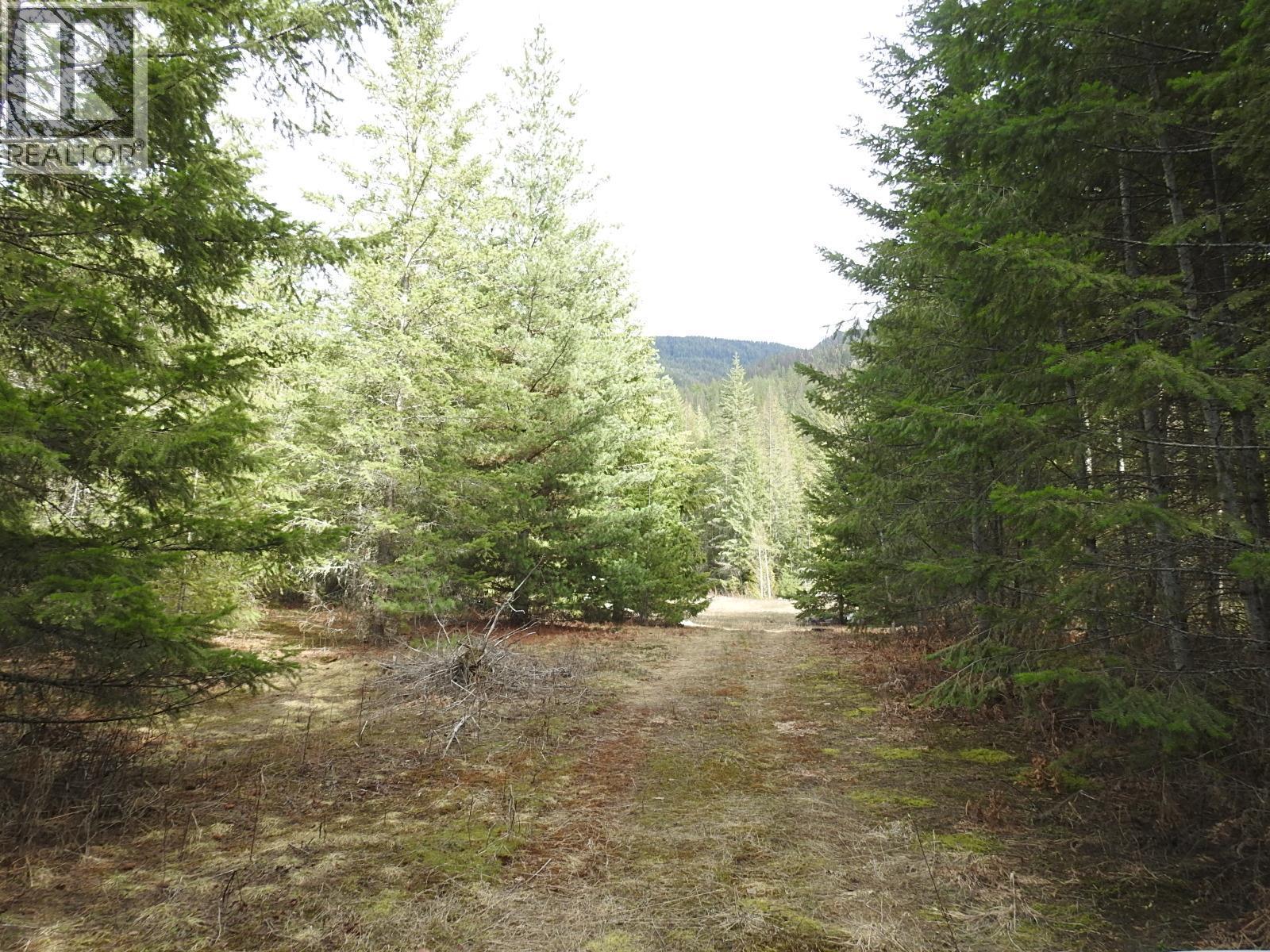 50 East Poirier Road. Mara, British Columbia