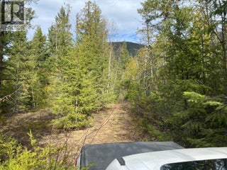 50 East Poirier Road. Mara, British Columbia