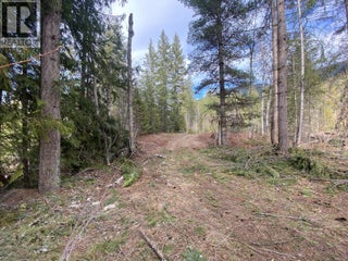 50 East Poirier Road. Mara, British Columbia