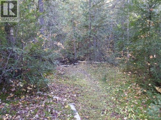 50 East Poirier Road. Mara, British Columbia