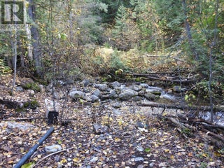 50 East Poirier Road. Mara, British Columbia