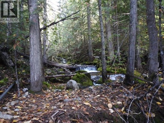 50 East Poirier Road. Mara, British Columbia