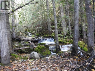 50 East Poirier Road. Mara, British Columbia