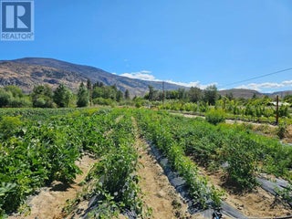 166 Park Rill Road. Oliver, British Columbia