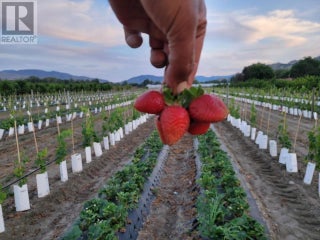 166 Park Rill Road. Oliver, British Columbia