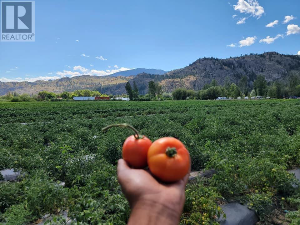 166 Park Rill Road. Oliver, British Columbia