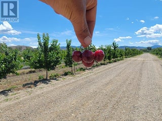 166 Park Rill Road. Oliver, British Columbia