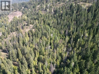 1918 Camozzi Road. Revelstoke, British Columbia