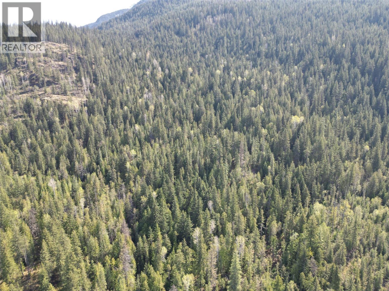 1918 Camozzi Road. Revelstoke, British Columbia