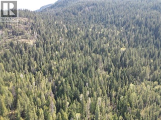 1918 Camozzi Road. Revelstoke, British Columbia