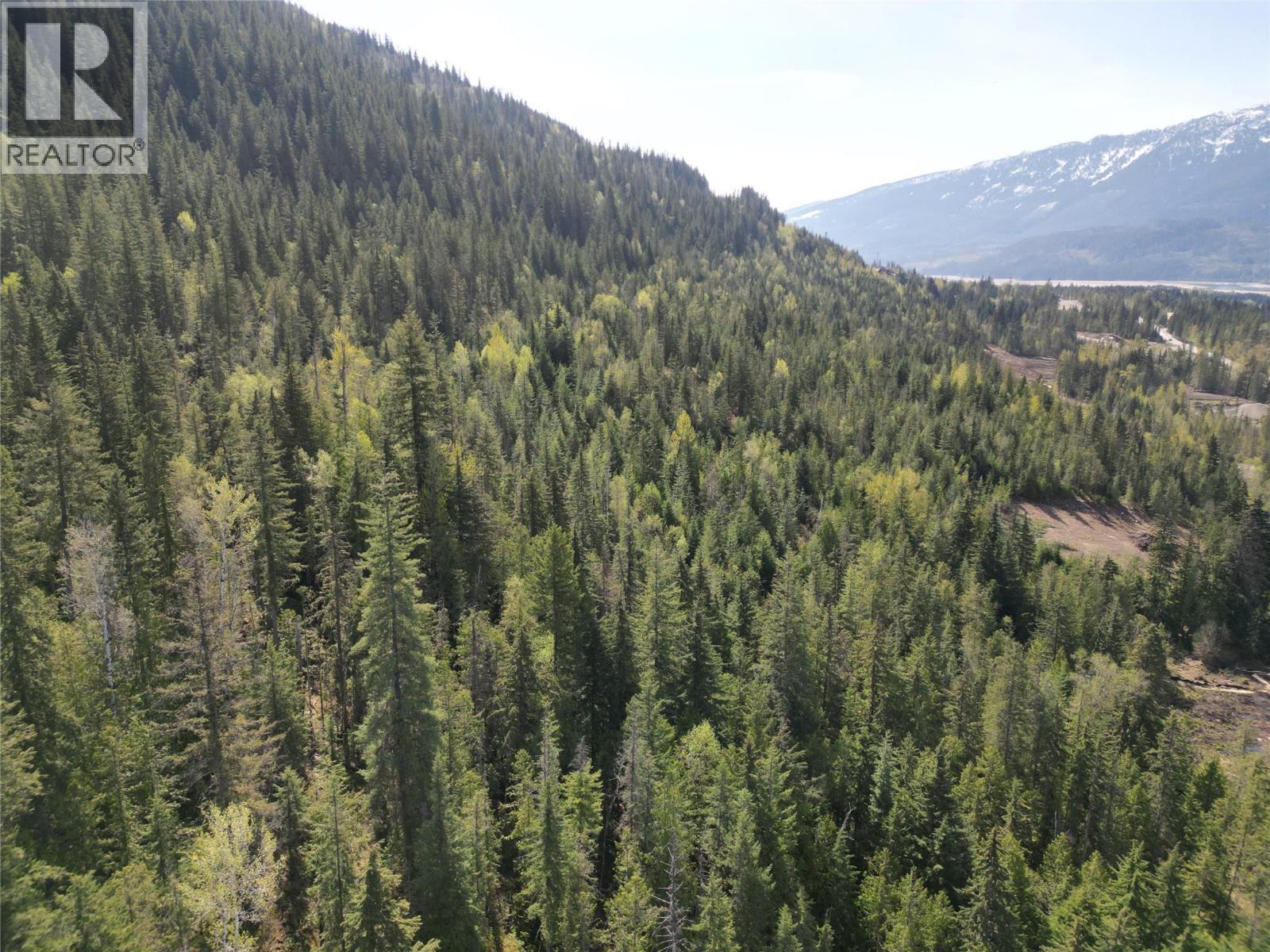 1918 Camozzi Road. Revelstoke, British Columbia