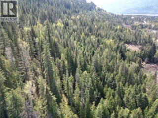 1918 Camozzi Road. Revelstoke, British Columbia