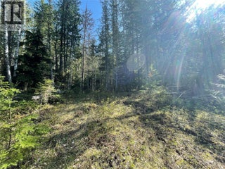 1918 Camozzi Road. Revelstoke, British Columbia