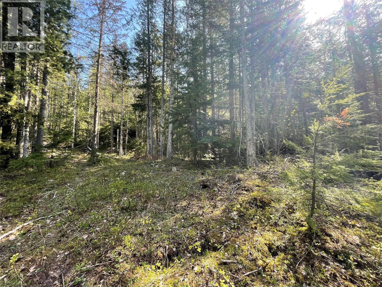 1918 Camozzi Road. Revelstoke, British Columbia