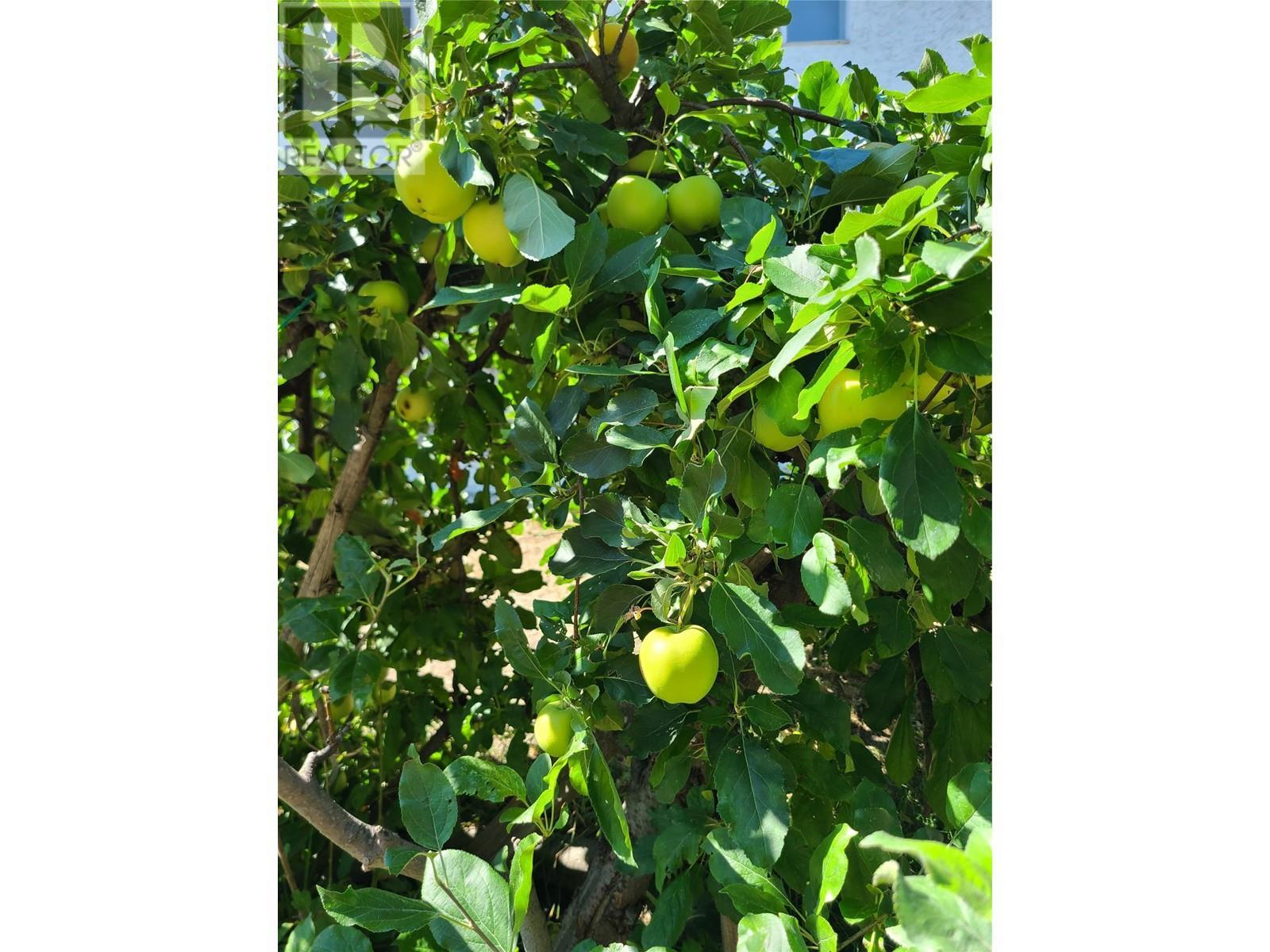 766 Coopland Crescent. Kelowna, British Columbia