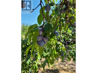 766 Coopland Crescent. Kelowna, British Columbia