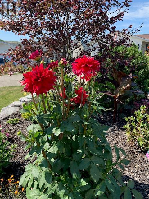 814 8 Avenue. Vernon, British Columbia