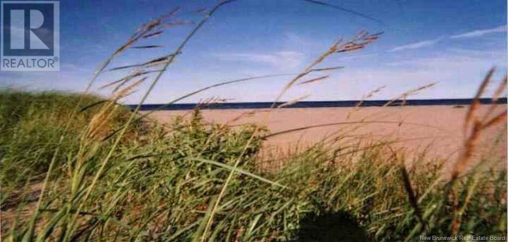 Photo of Listing #NB113212