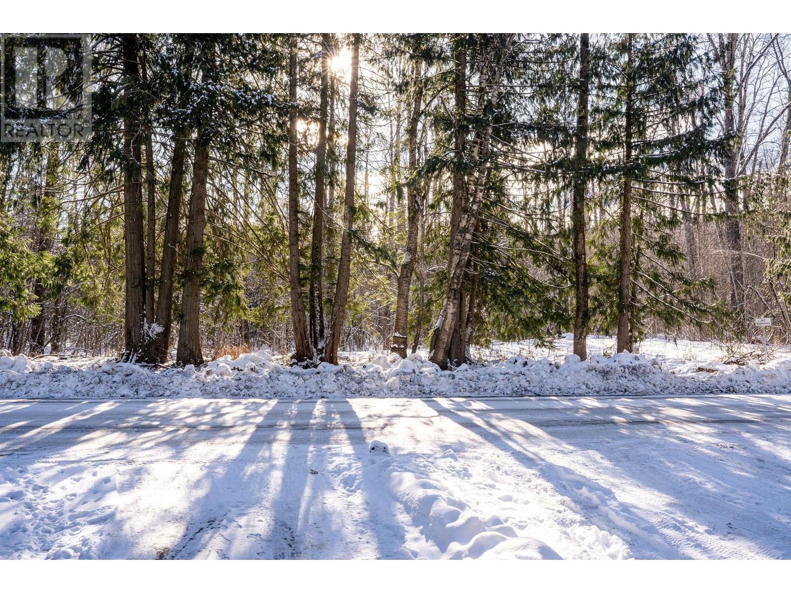 1079 Lundell Road Unit# 3. Revelstoke, British Columbia