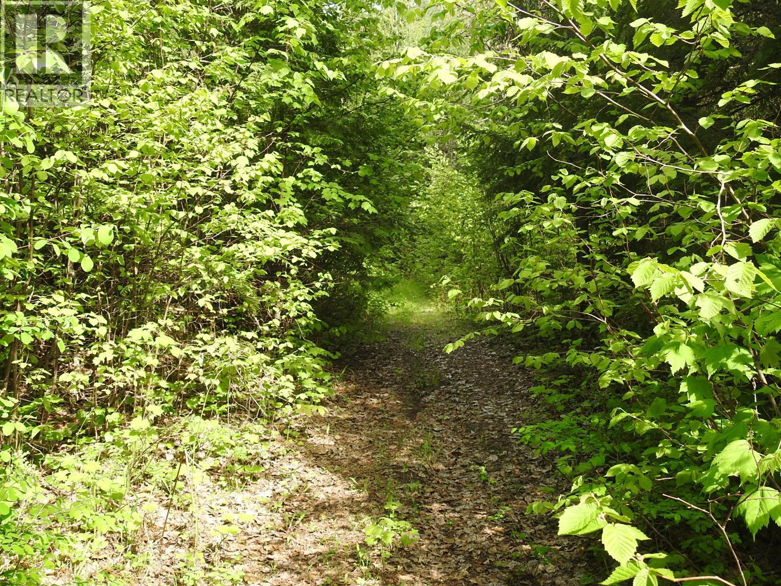 1433 Sugar Lake Road. Cherryville, British Columbia