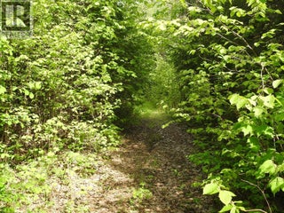 1433 Sugar Lake Road. Cherryville, British Columbia