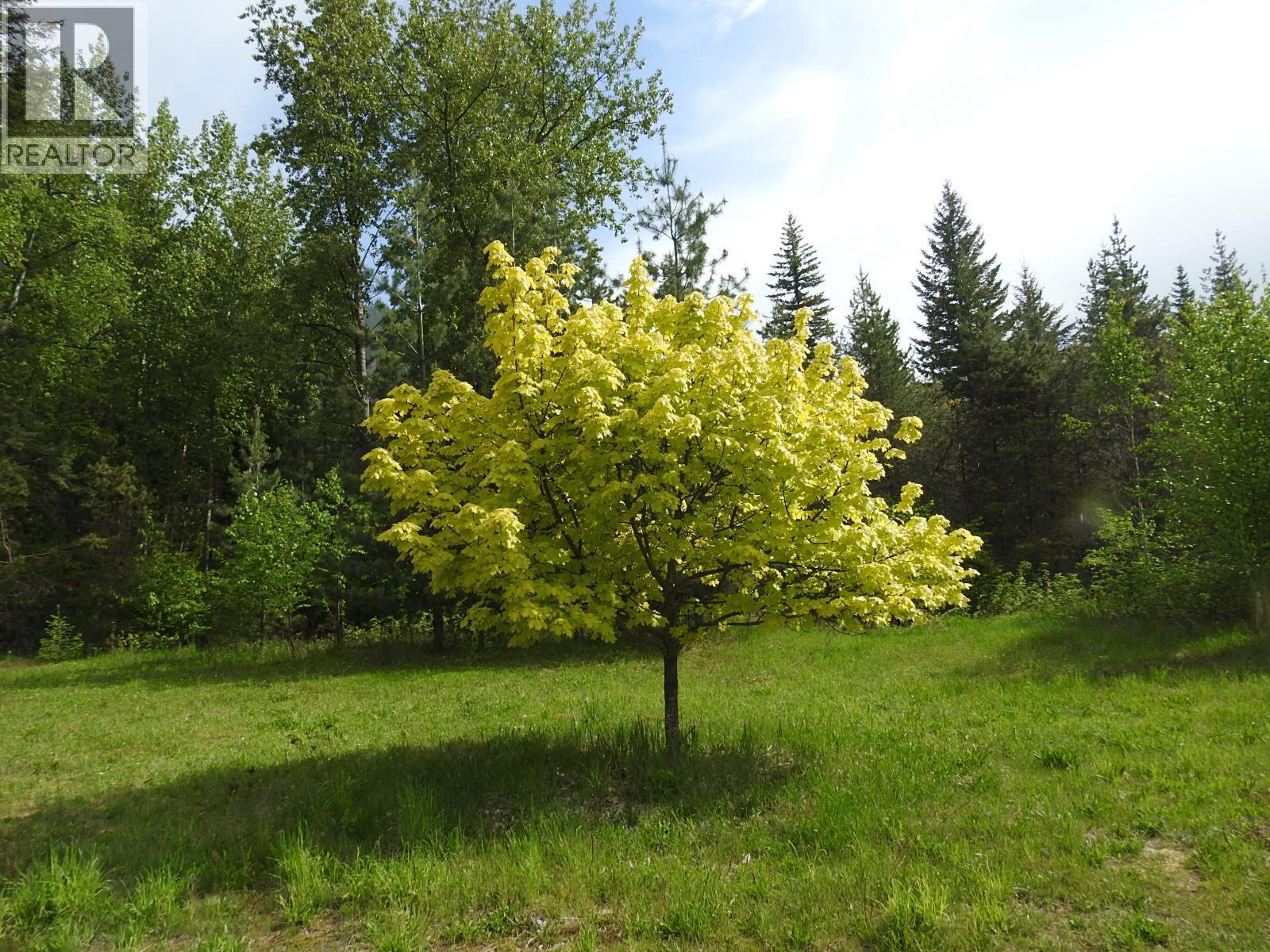 1433 Sugar Lake Road. Cherryville, British Columbia