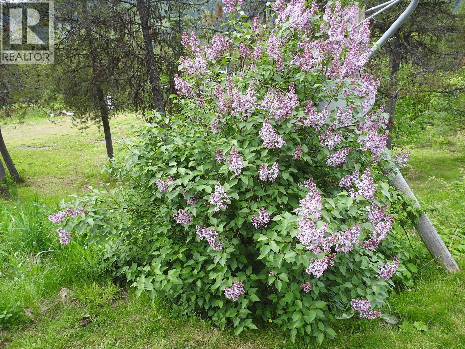 1433 Sugar Lake Road. Cherryville, British Columbia