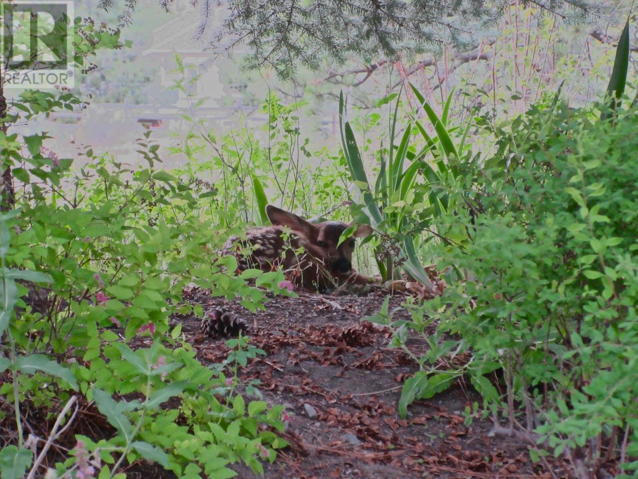 4074 Gellatly Road Unit# 126. West Kelowna, British Columbia