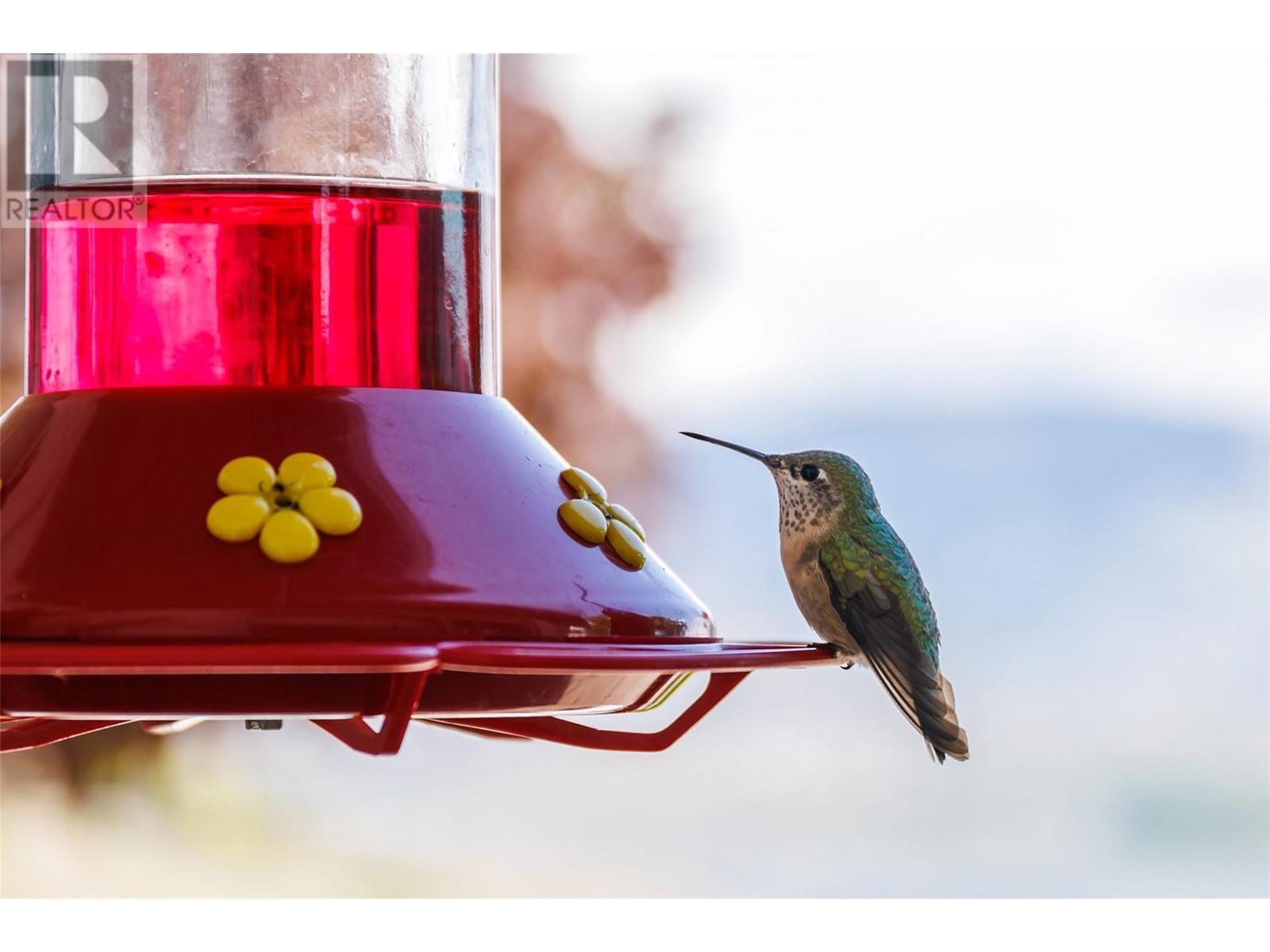 315 Kalamalka Lakeview Drive Unit# 1. Vernon, British Columbia