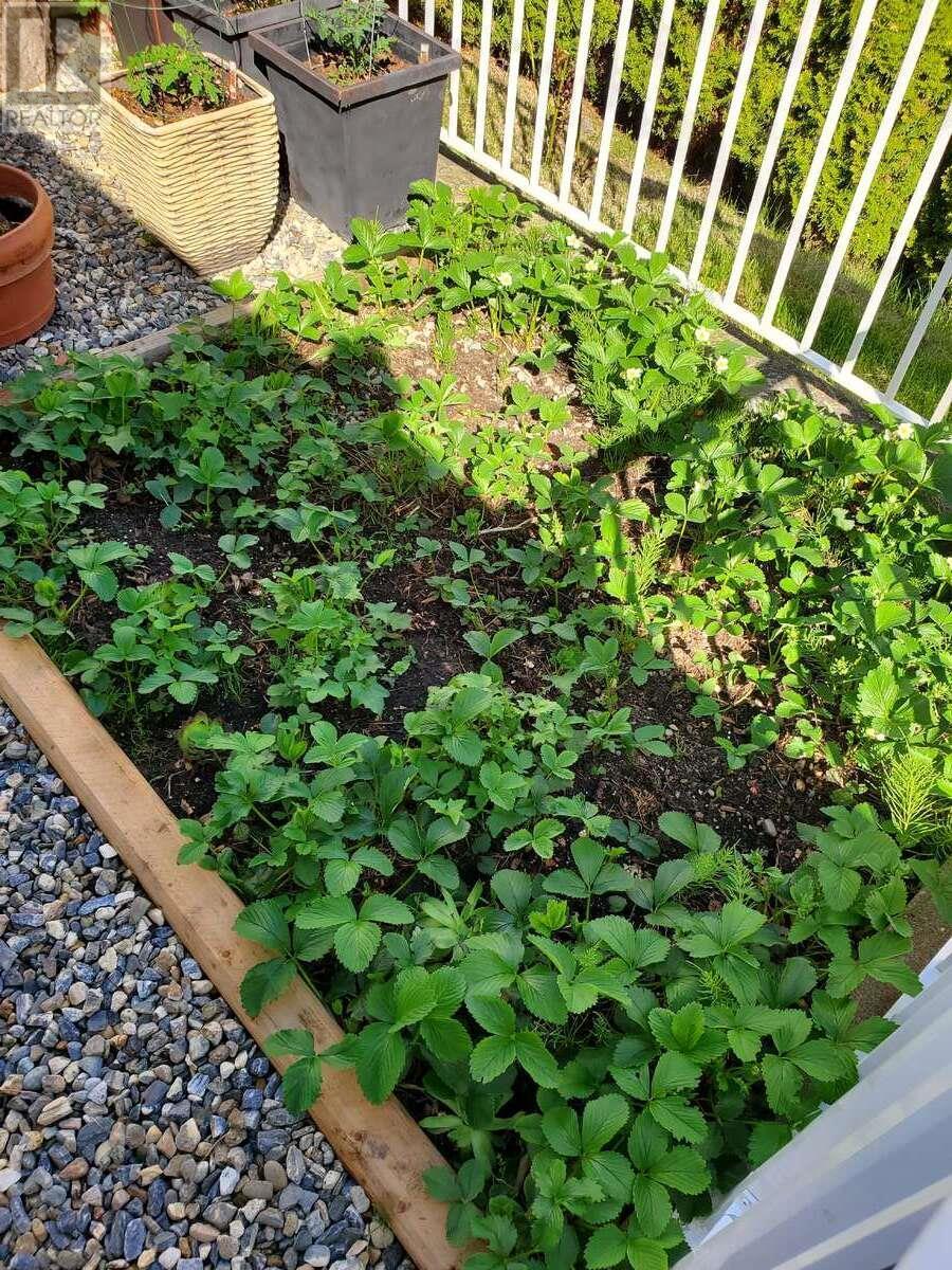 1510 Trans Canada Highway Unit# 32. Sorrento, British Columbia