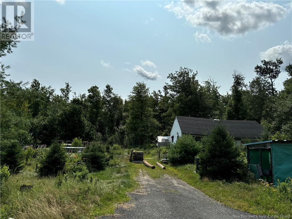 Photo of Listing #NB115969