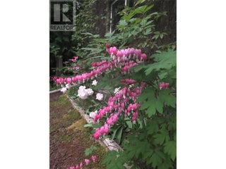 2504 Forest Drive. Blind Bay, British Columbia