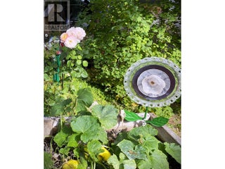 7463 Black Road Se. Salmon Arm, British Columbia