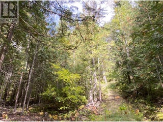 7463 Black Road Se. Salmon Arm, British Columbia