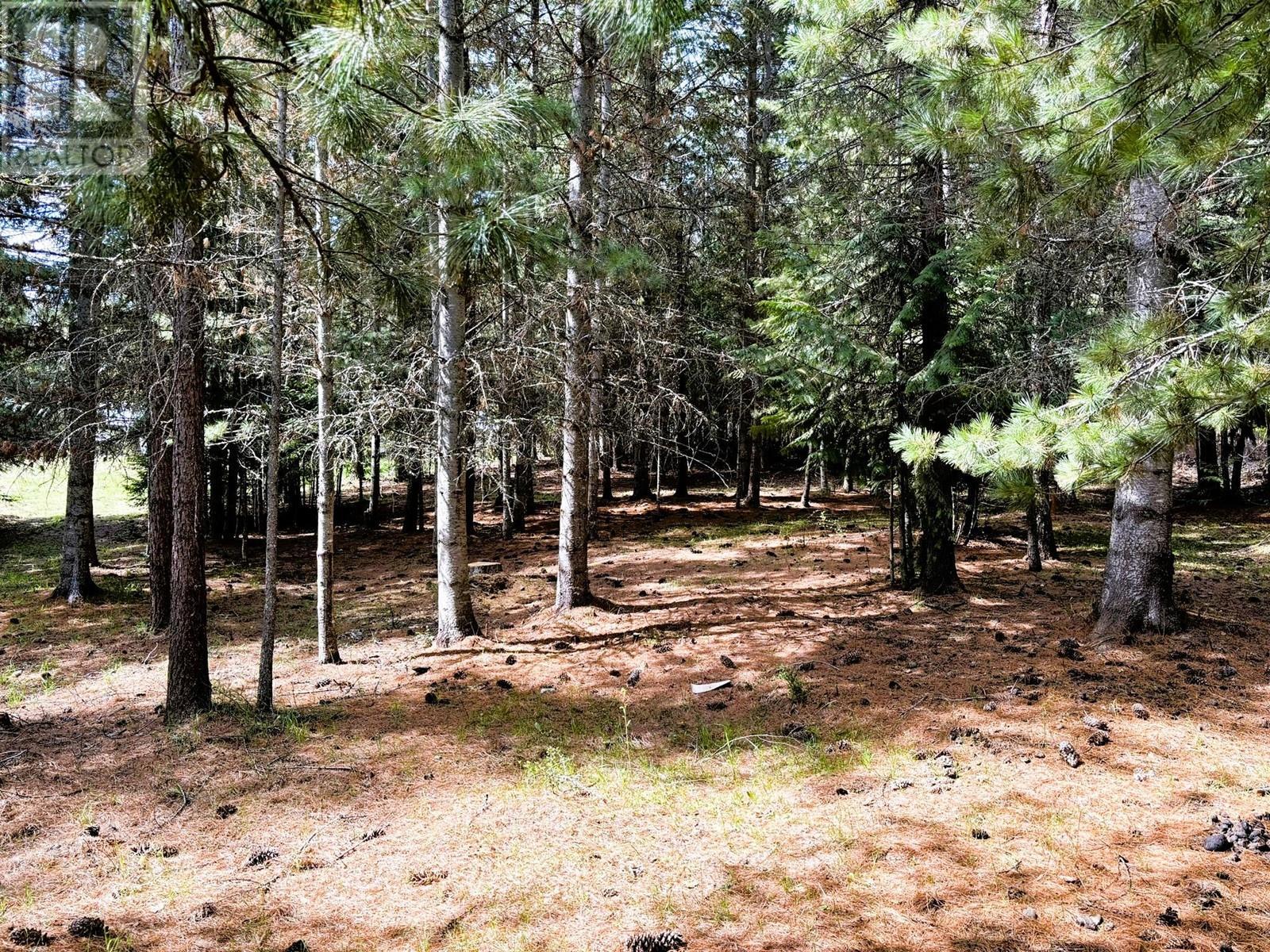 1425 Bobbie Burns Road. Lumby, British Columbia