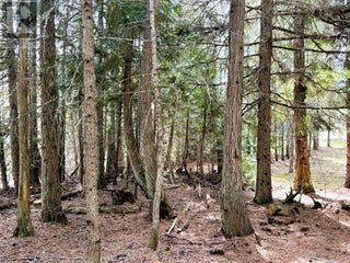 1425 Bobbie Burns Road. Lumby, British Columbia