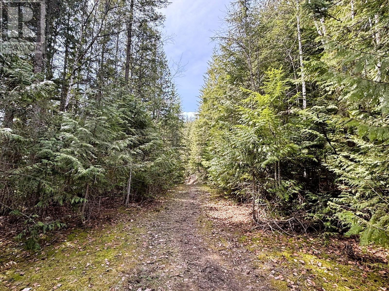 1425 Bobbie Burns Road. Lumby, British Columbia