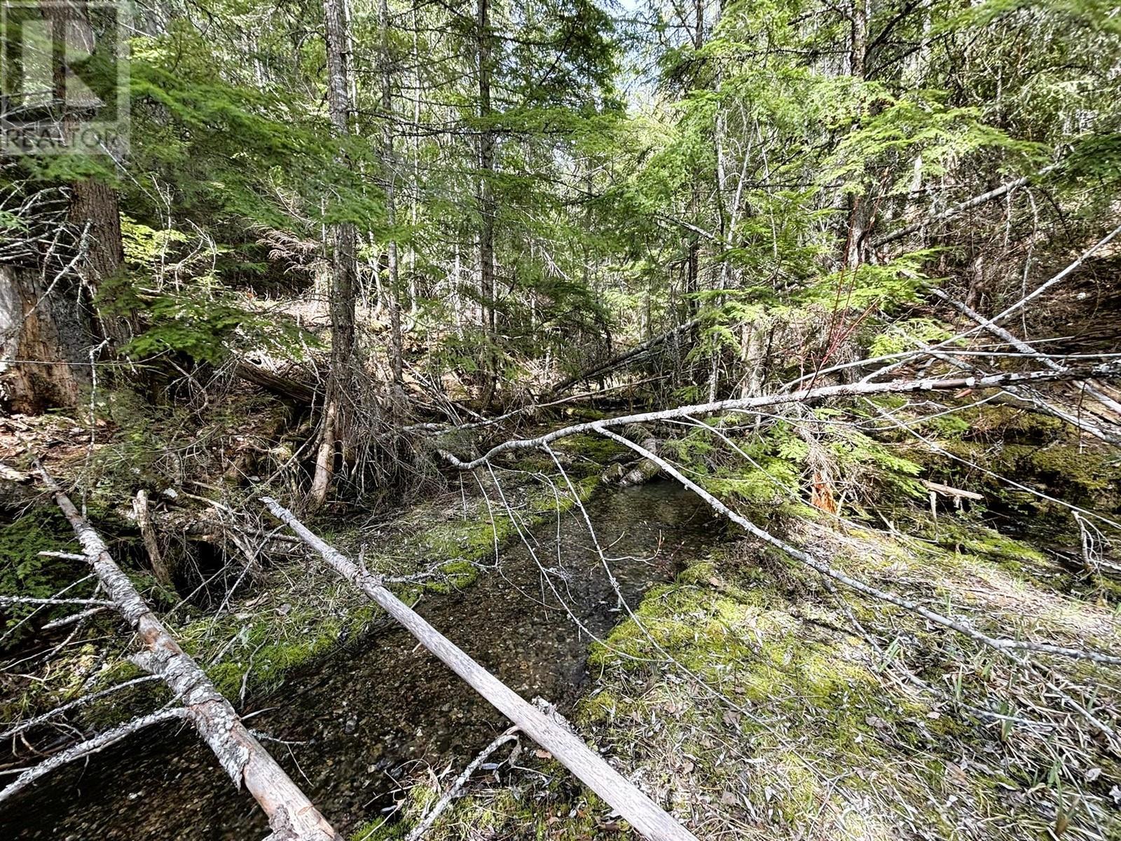 1425 Bobbie Burns Road. Lumby, British Columbia