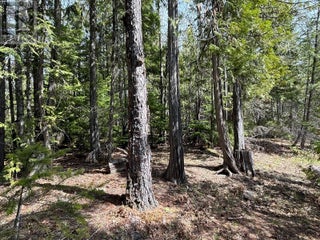 1425 Bobbie Burns Road. Lumby, British Columbia