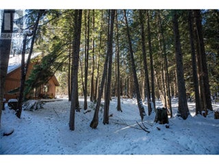 3014 Mcinnes Road. Revelstoke, British Columbia