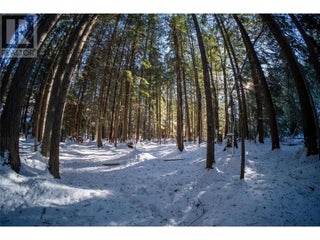 3014 Mcinnes Road. Revelstoke, British Columbia