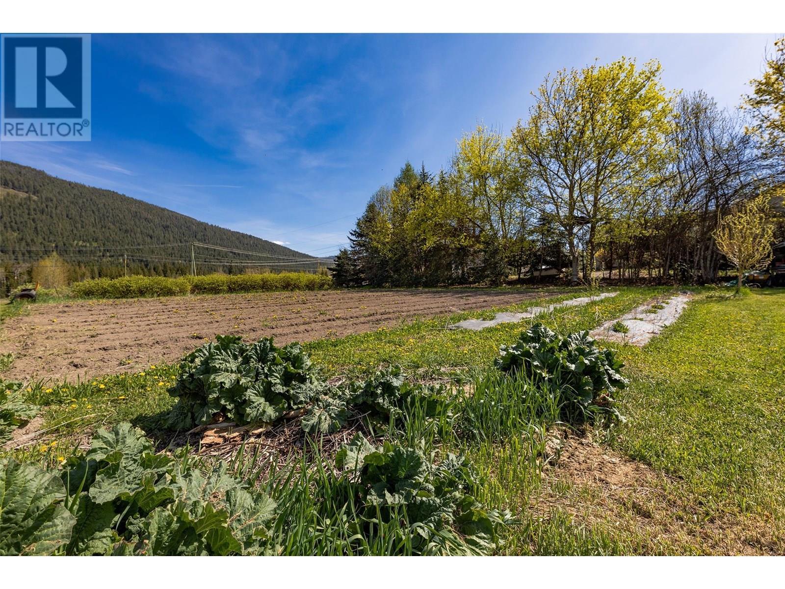 2201 50th Street. Salmon Arm, British Columbia