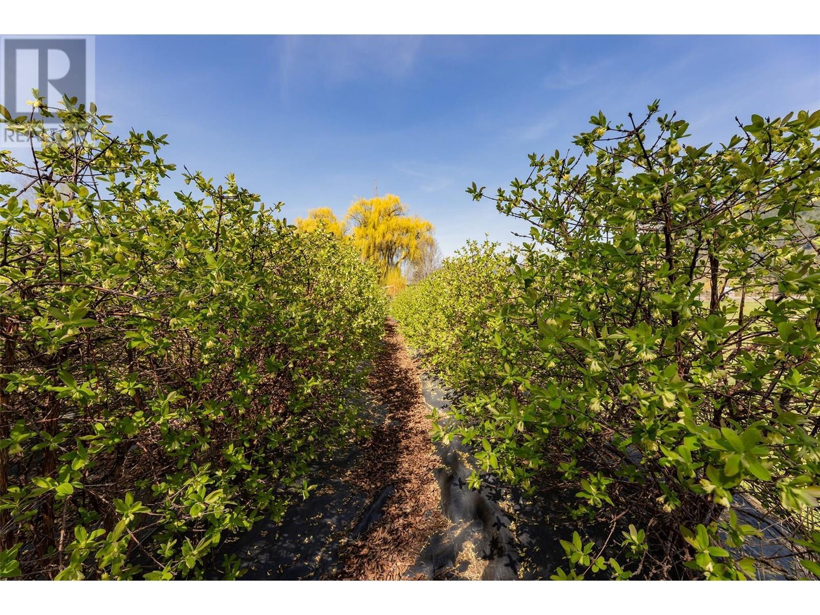 2201 50th Street. Salmon Arm, British Columbia