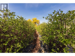 2201 50th Street. Salmon Arm, British Columbia